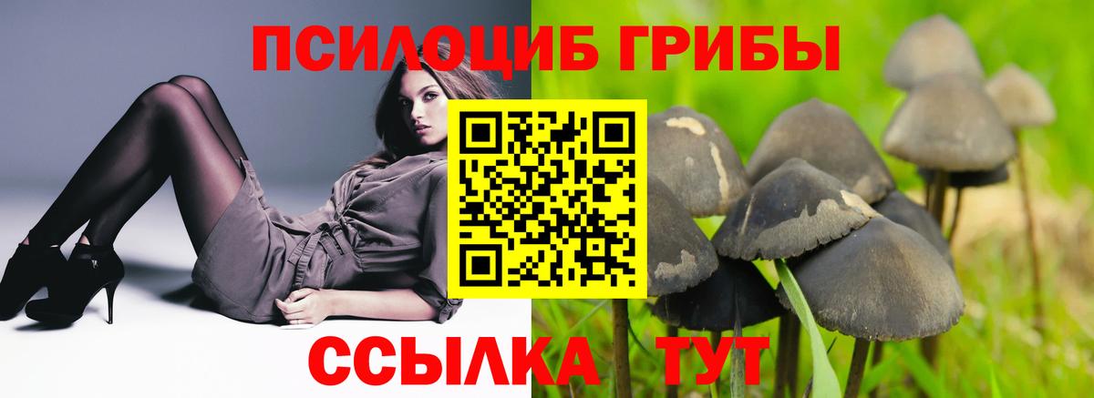 Псилоцибиновые грибы мицелий Жуковский
